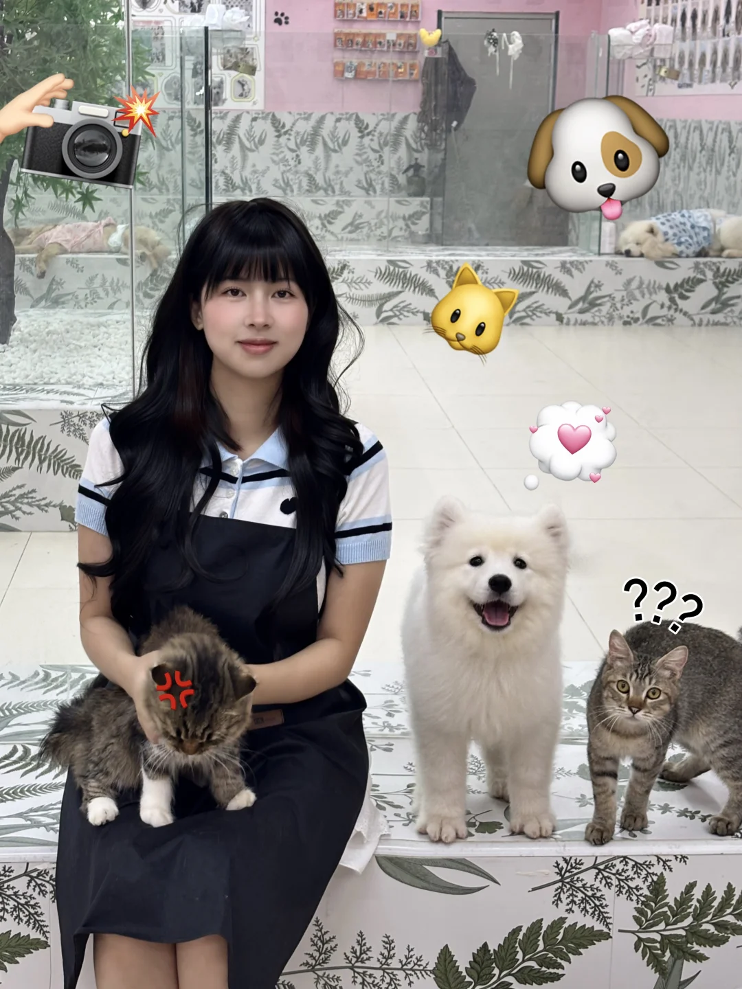 跟猫猫狗狗待着一起真的好解压🐶