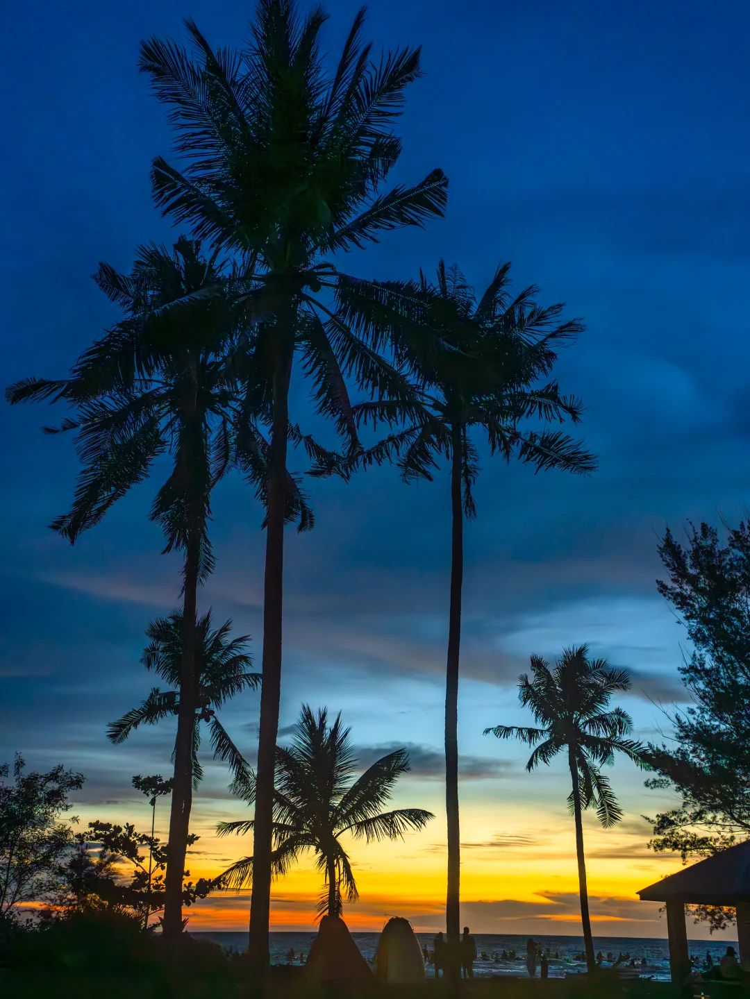 冬天的马来西亚，真是人间理想！