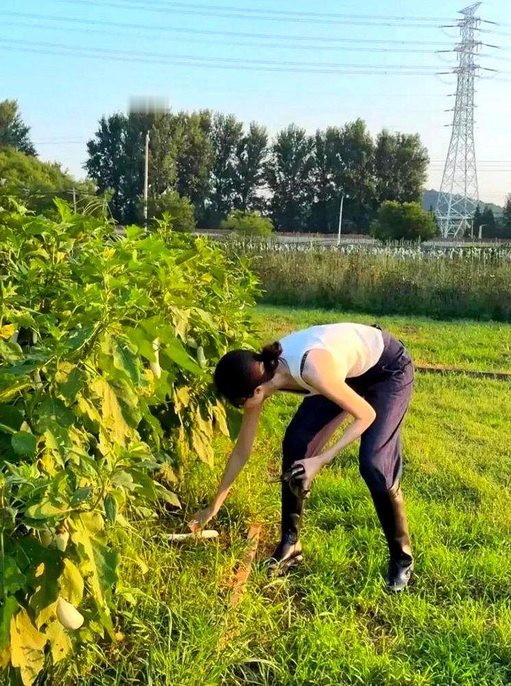 何穗穿六位数裙子蹲菜地里拔萝卜，评论区果然炸了，一堆人说她作秀、糟蹋好东西。

但镜头拉近一看，鞋上全是泥，指甲缝里也是黑的，真不是摆拍，就是在过日子。

她刚生完孩子没多久，跟陈伟霆在一块，男方在家做五菜一汤，她天天研究控糖低卡餐。之前被拍到带娃出门也是素颜，衣服皱巴巴的，跟普通妈妈没区别。

很
