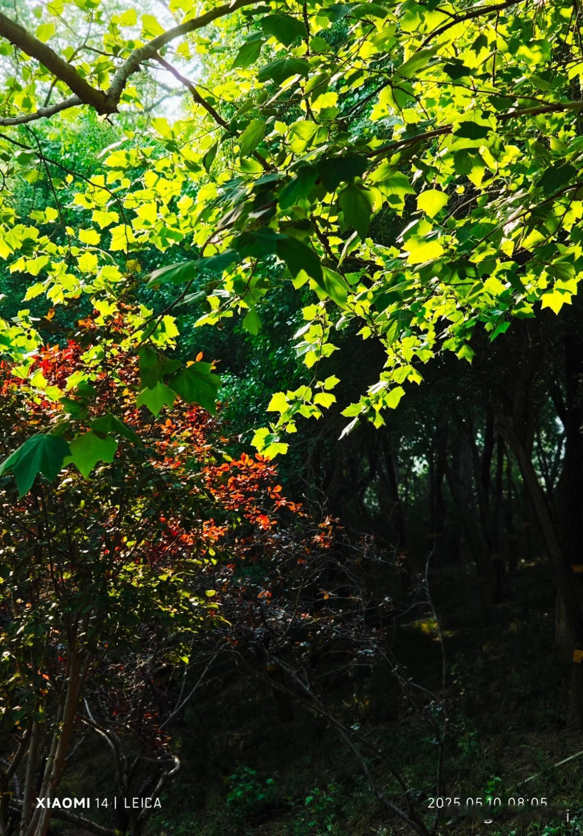 我心中有个疑问，想问问各位师友。男人们聚在一起都聊些什么话题呢？ 有一...