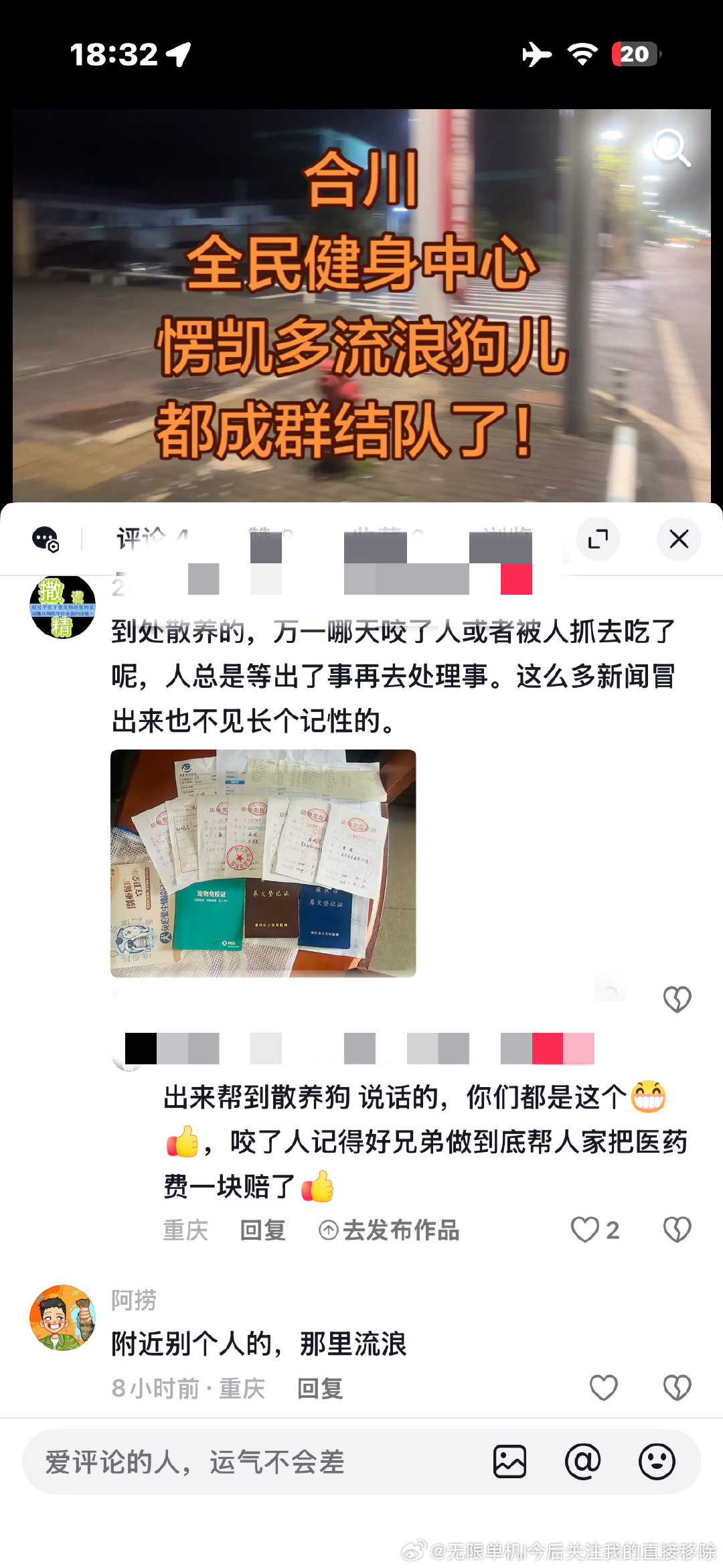 #交警称没牵绳的狗一律按野狗处理#别让我去心疼那些不自觉结果导致狗狗出了问题的犬主。狗狗跟着他们，受苦就算了，狗子还不懂存在的安全隐患一个劲的衷心于这类人。实在不值得 ​