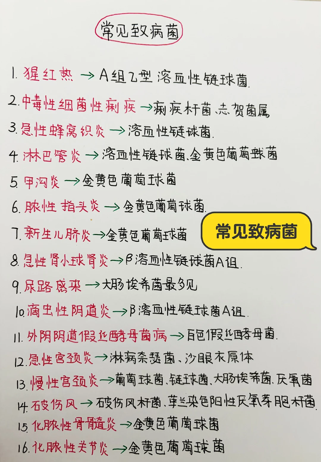 今日学习打卡——常见致病菌