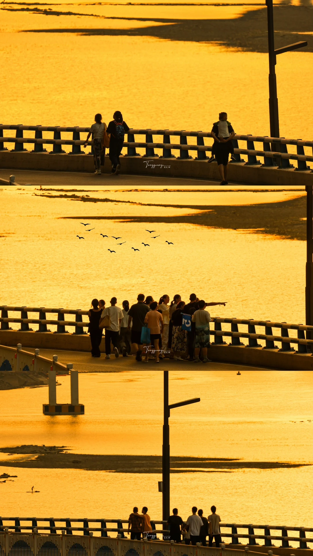 山城千厮门桥下的橘子海梦境🌈‼️