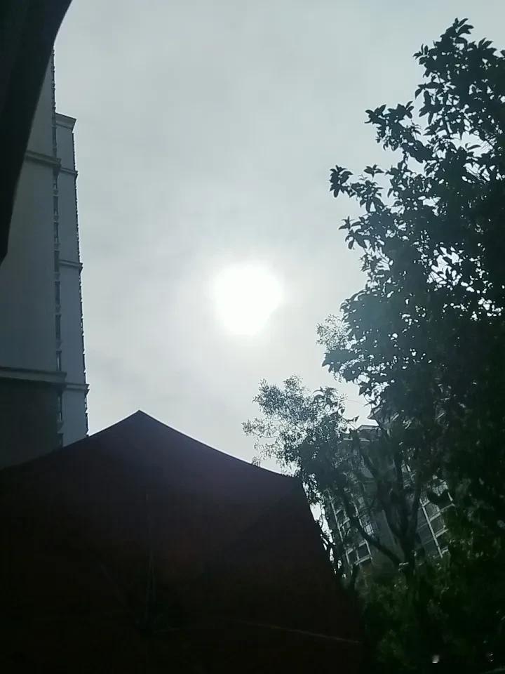 灰蒙蒙，有点微风，但是不冷，你们那的天气好吗？