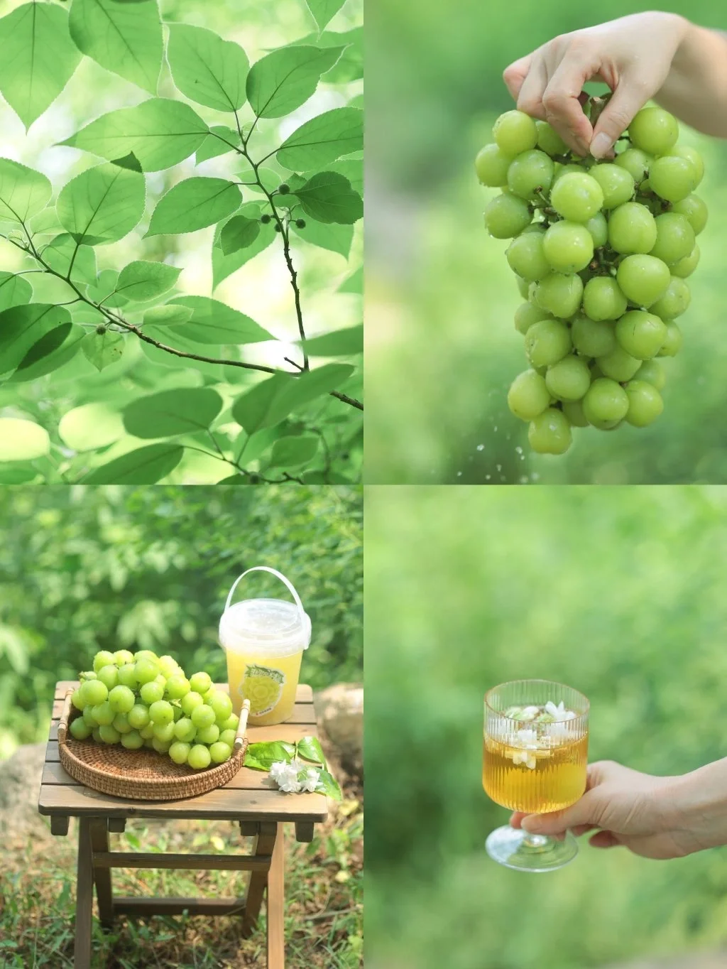 治愈小森林调色🌿让人无法拒绝的夏日绿❗