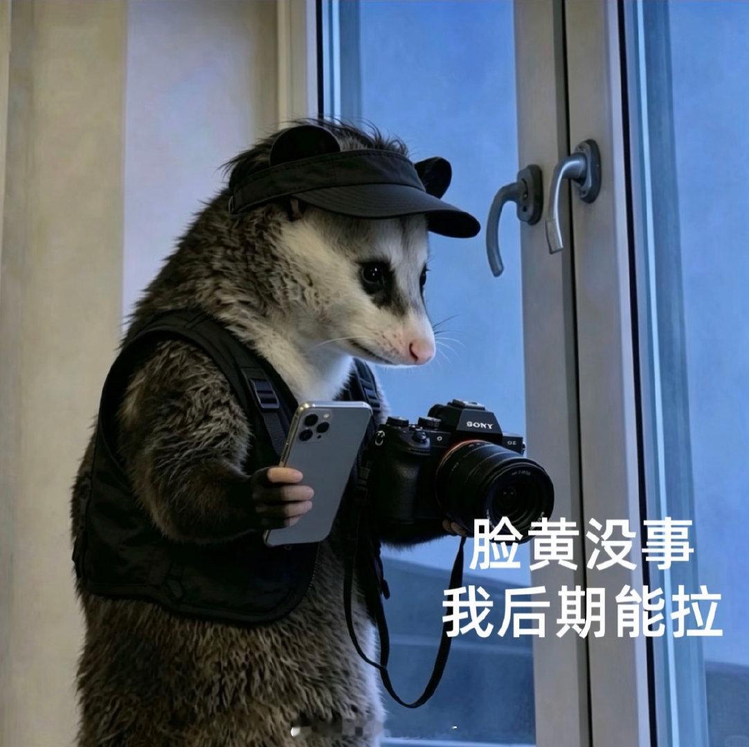 索尼佬每天： ​