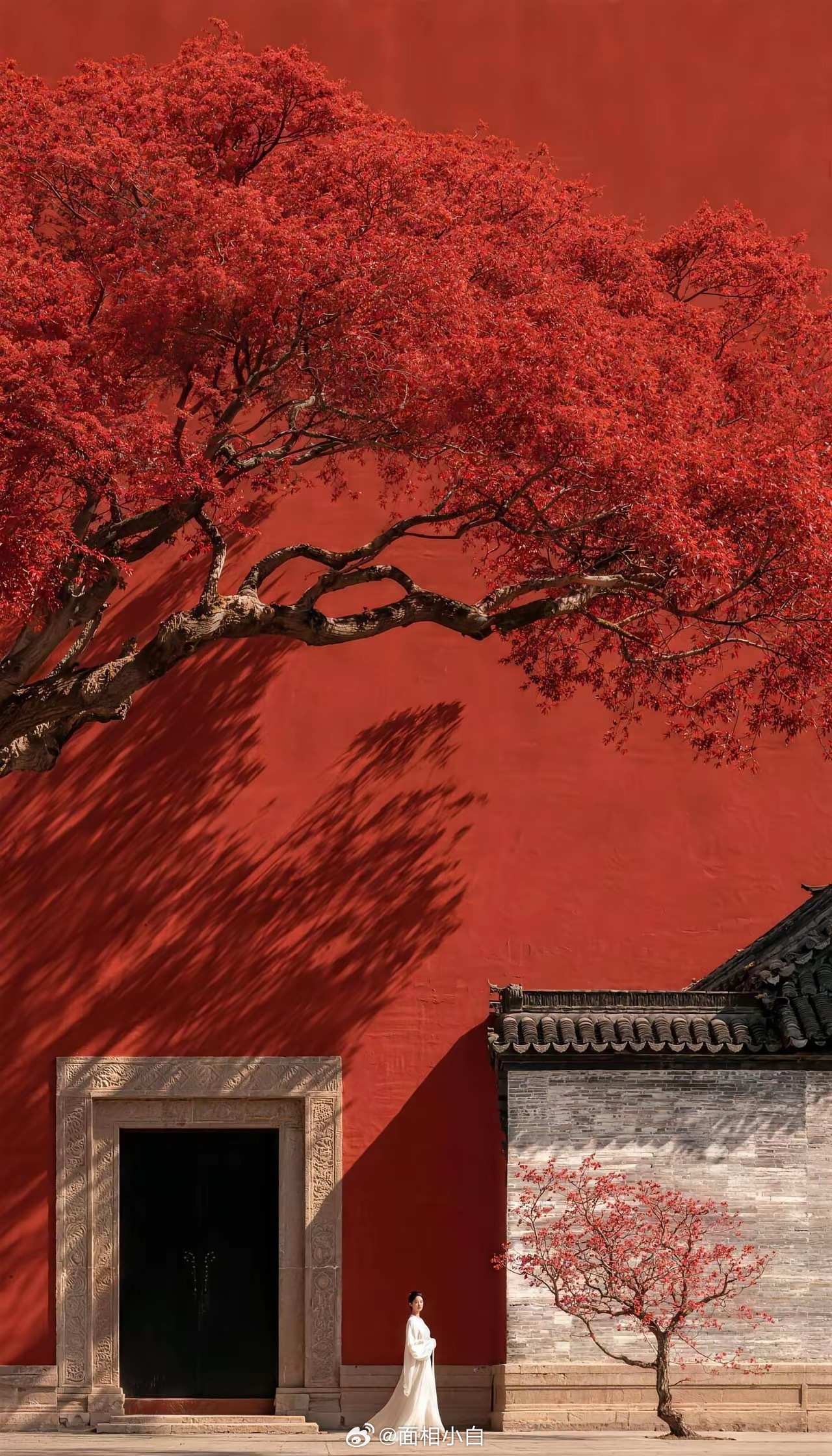 今年照样是“冬天”，还是要多备点粮、多攒点钱。普通人别总琢磨着阶层跃迁、逆天改命，踏踏实实把自己的小日子过好，不瞎折腾就是福。不图大富大贵，只愿一年更比一年好。 ​​​