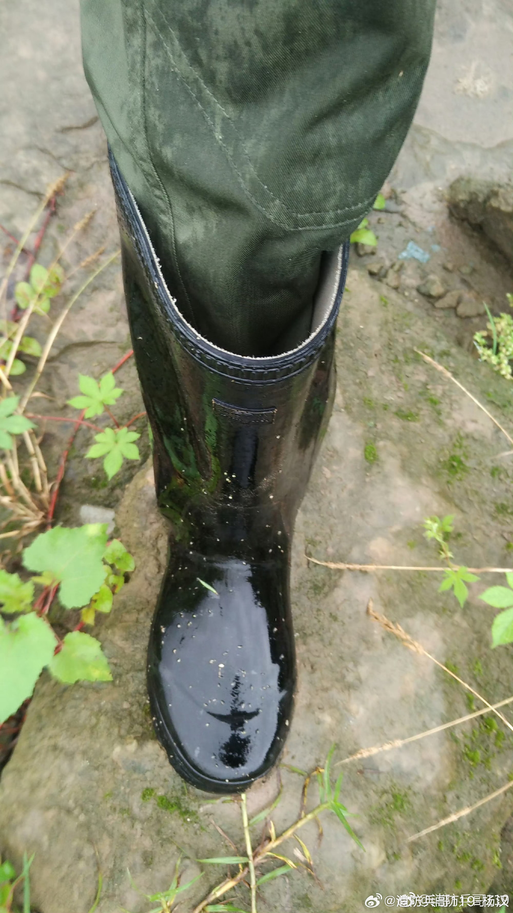 雨行天下！[超话][超话][超话][超话][超话]​​​