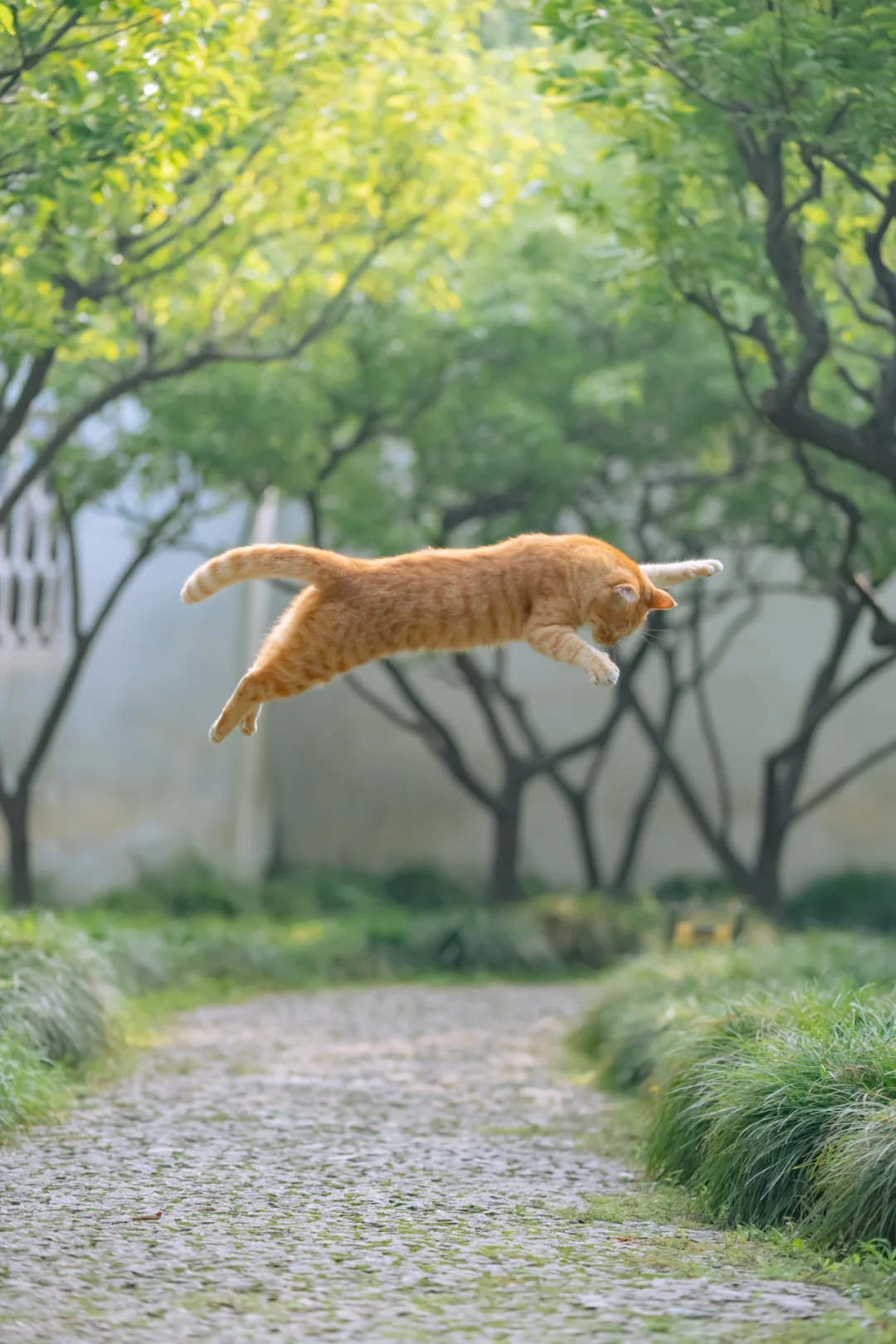 橘门独技：平沙落雁式