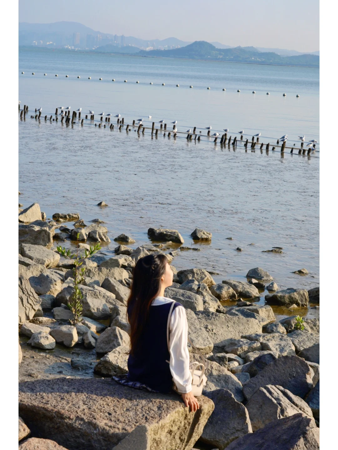 这里不是大理洱海，是冬日的深圳市区啊！