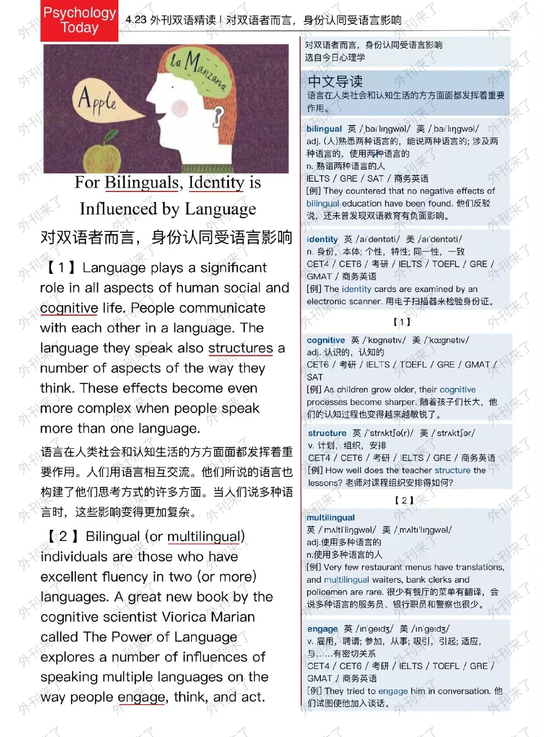 外刊双语精读101｜深扒掌握双语的影响