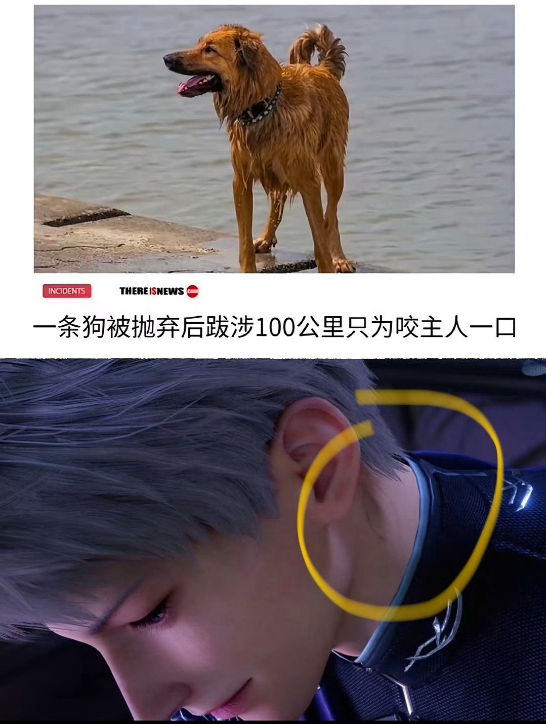 等得有点难受了、什么时候有我男神的池子 ​