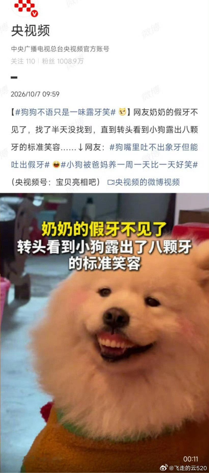 #奶奶假牙不见小狗露八颗牙# ​
