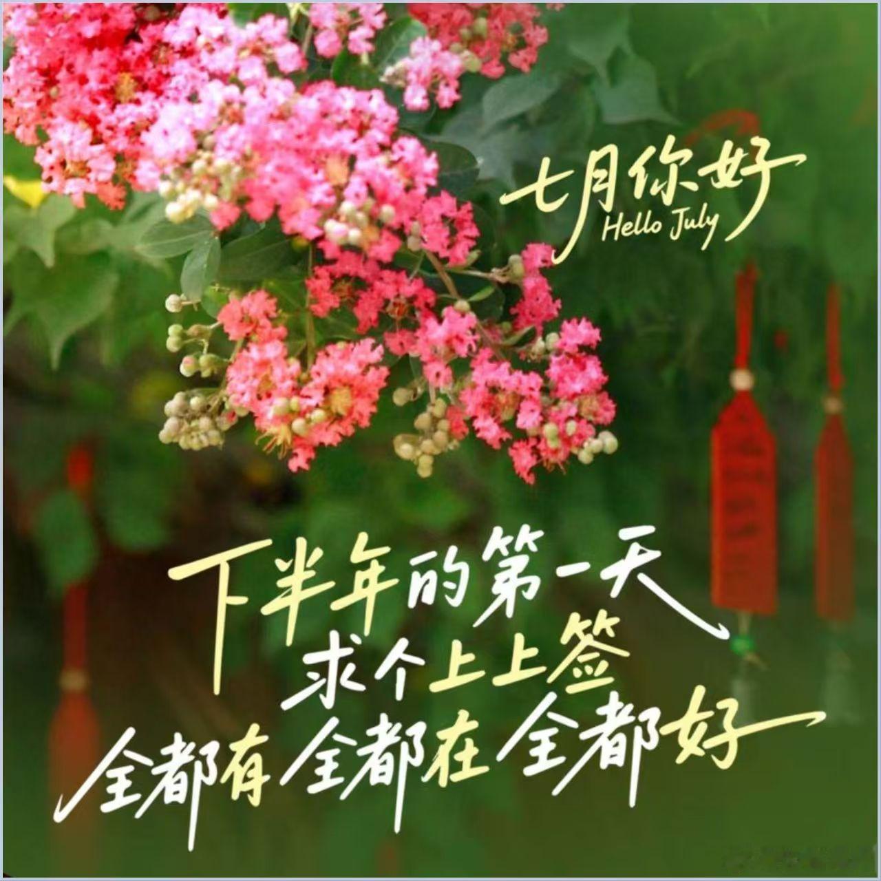 六月的遗憾，七月来补。上半年没养成的好习惯，下半年加倍认真做起来。 早...