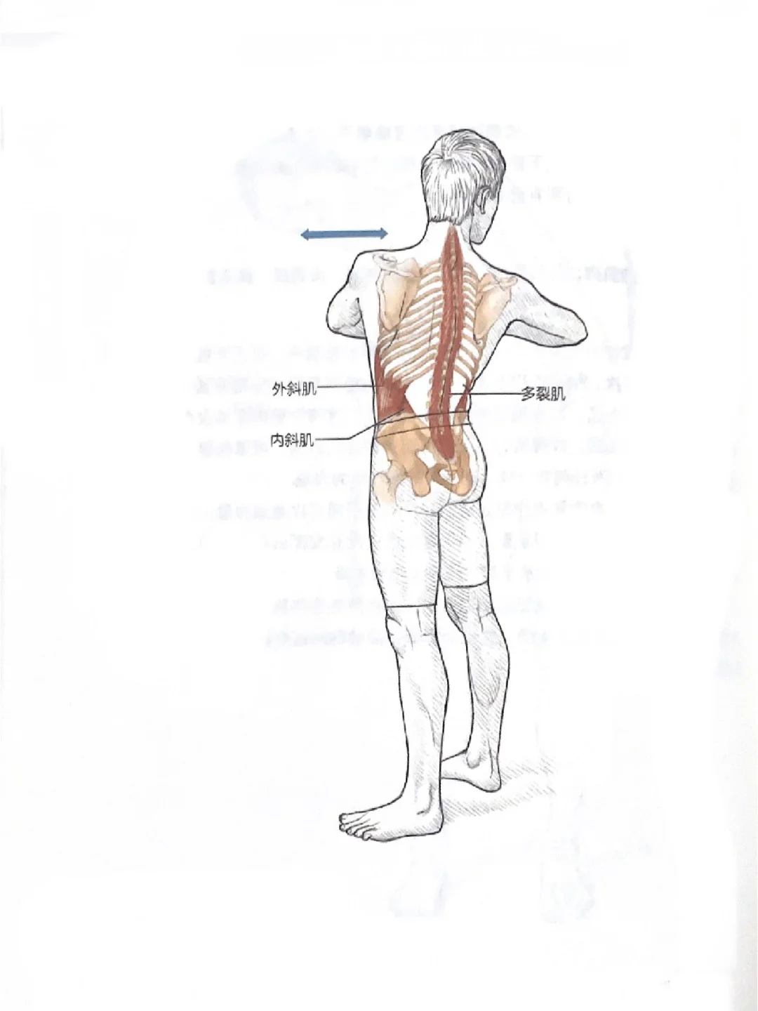 腰🔥两侧赘肉多、试试这个拉伸