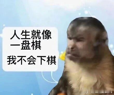 外国同事说被我夸到脸红，事实是，邮件里面的那些话，是deepseek帮我整的[捂嘴哭][捂嘴哭][捂嘴哭]我是不知道怎么多谢对方做无用功，所以叫deepseek帮我写一封感谢的商函 ​