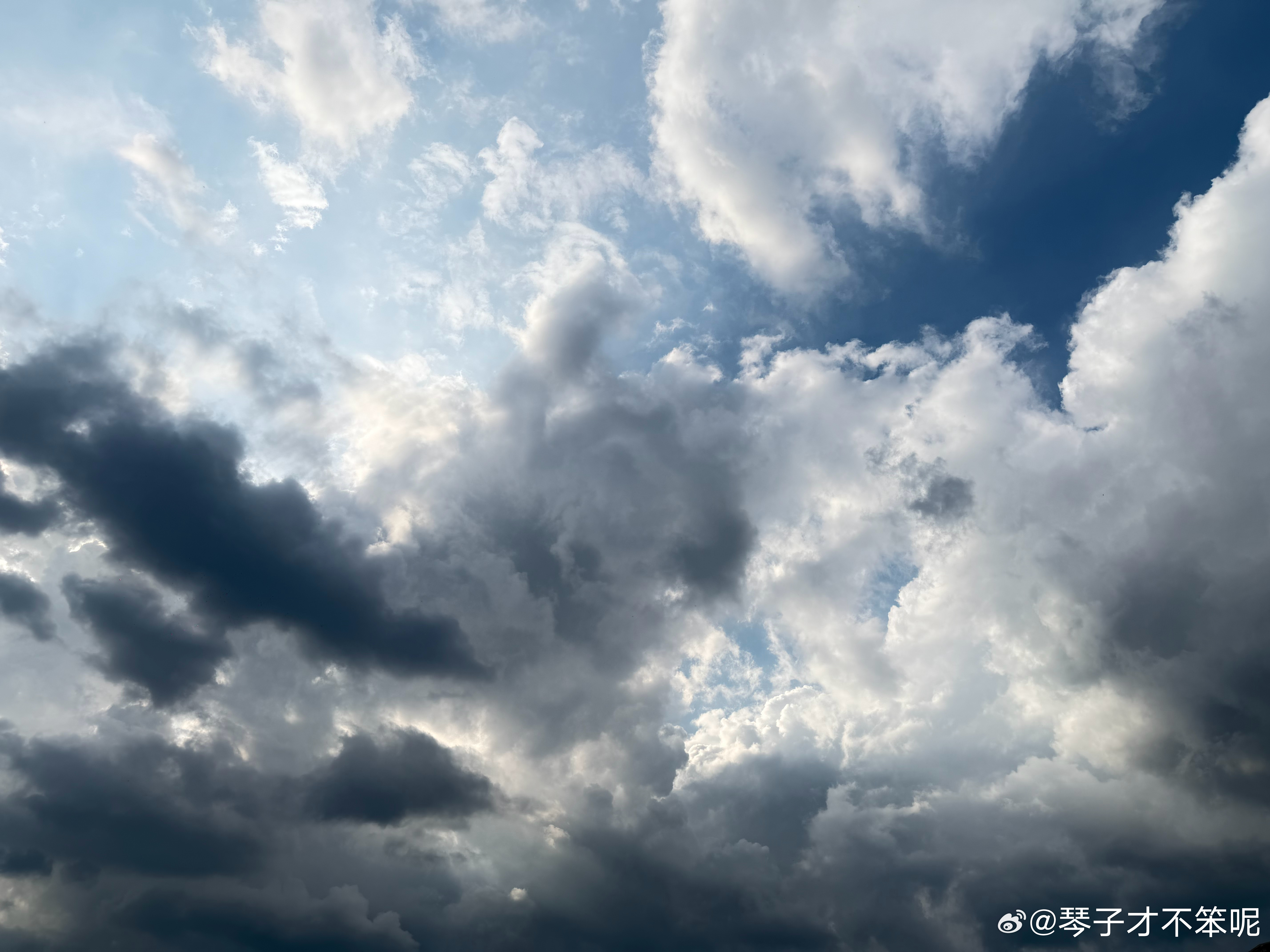 牛马一心想躺平，生活偏不遂人愿！ ​​​