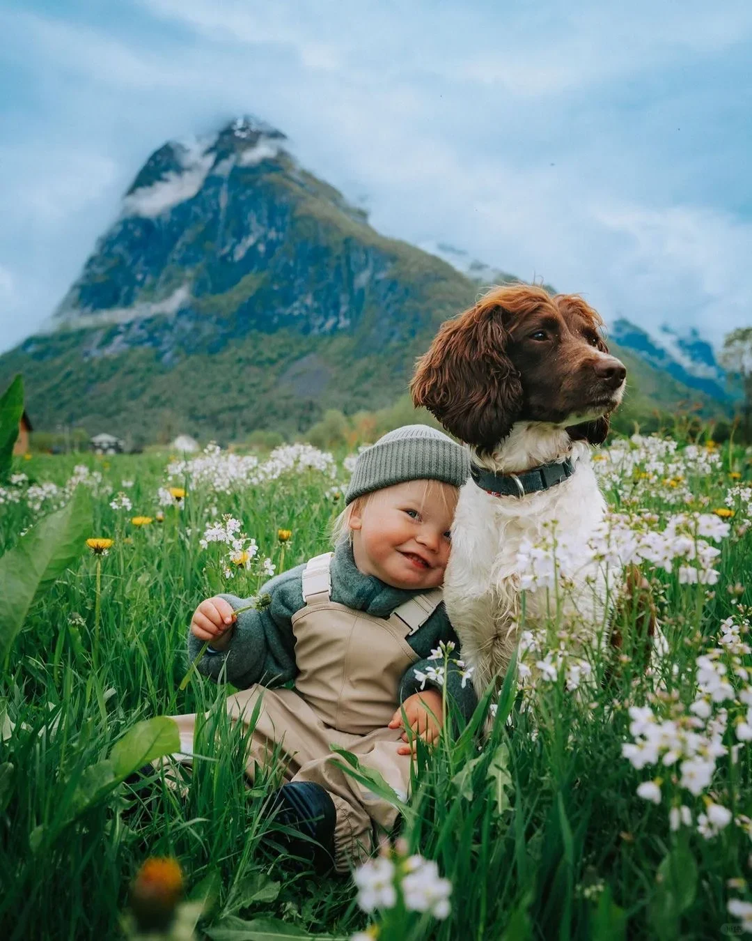 【审美提升】看看你手机里的春天