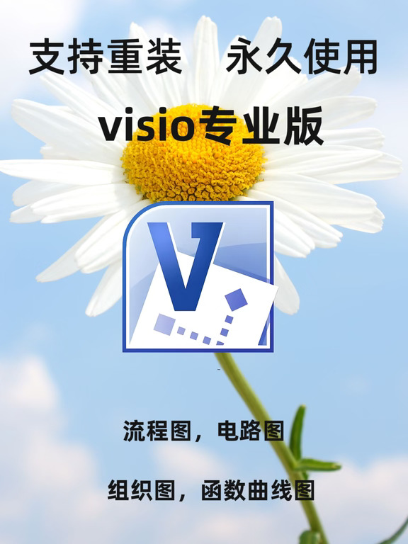 visio安装, 流程图绘制大师！🎉
