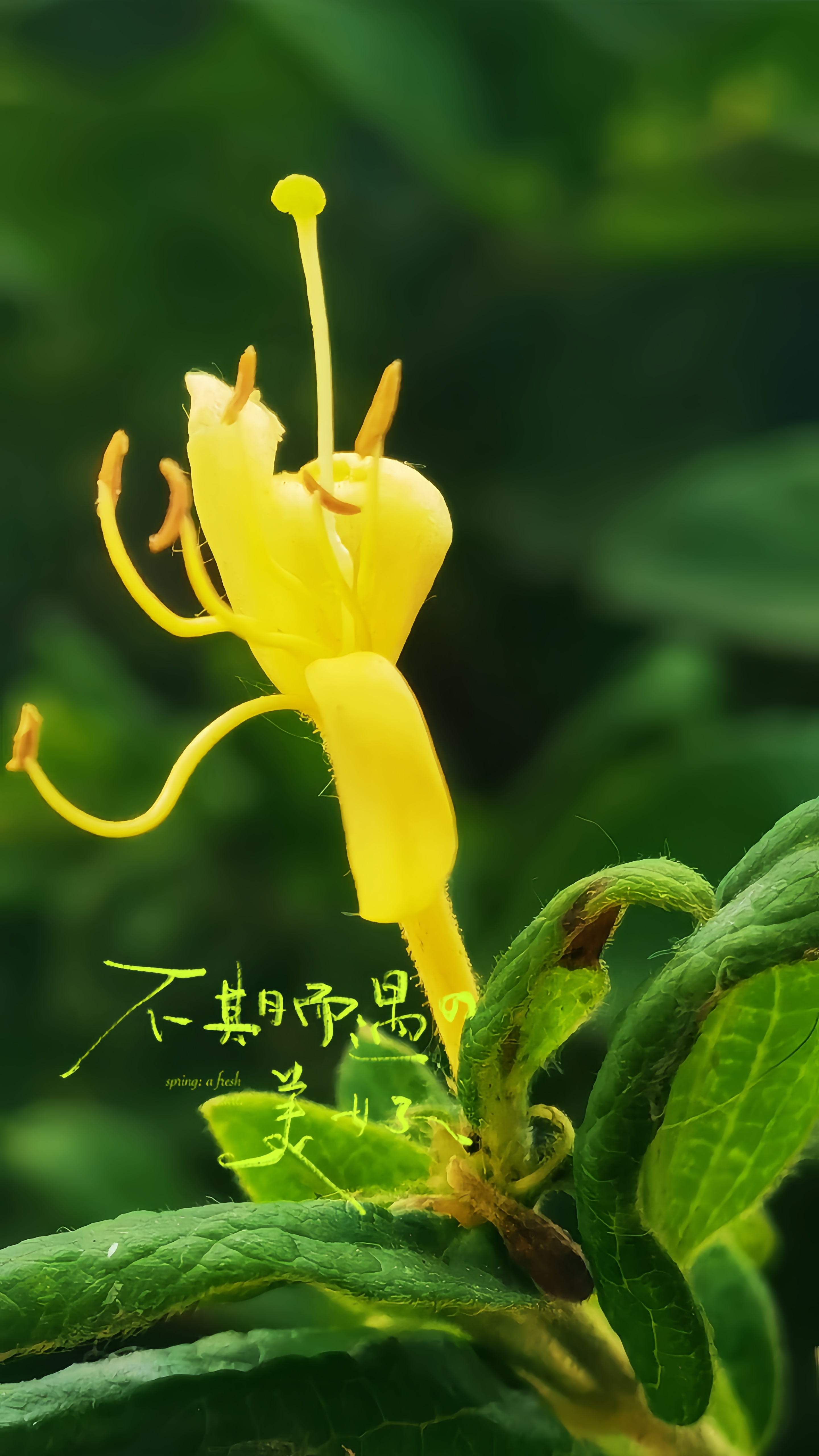 阳光信用是藏在日子里的微光，每次守信都像给生活添了一抹暖金色，慢慢积攒...