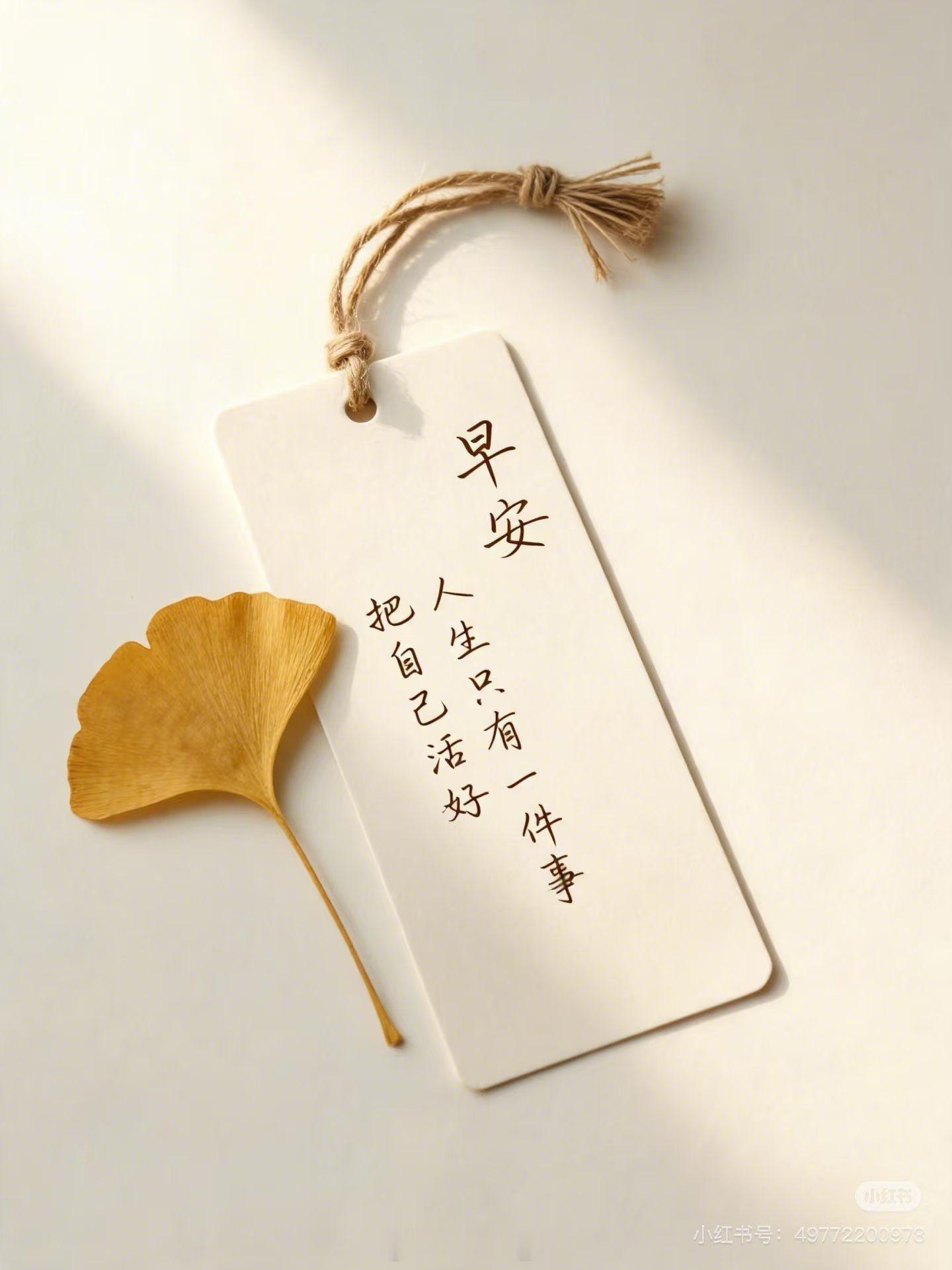 依旧是早晨5点多醒了，翻看下昨晚没看的公众号，孙宇晨和景甜的大瓜彻底爆了，好多博主抛弃主责主业，大部分篇幅都在议论这事。咋说呢，有钱就是豪横，想怎么花就怎么花，归根到底还是情绪价值，基本都属于快消品。当然，我感觉有钱和有智商，还要持续保持智商水平，那是很难做到二者兼得的，马斯克算 ​