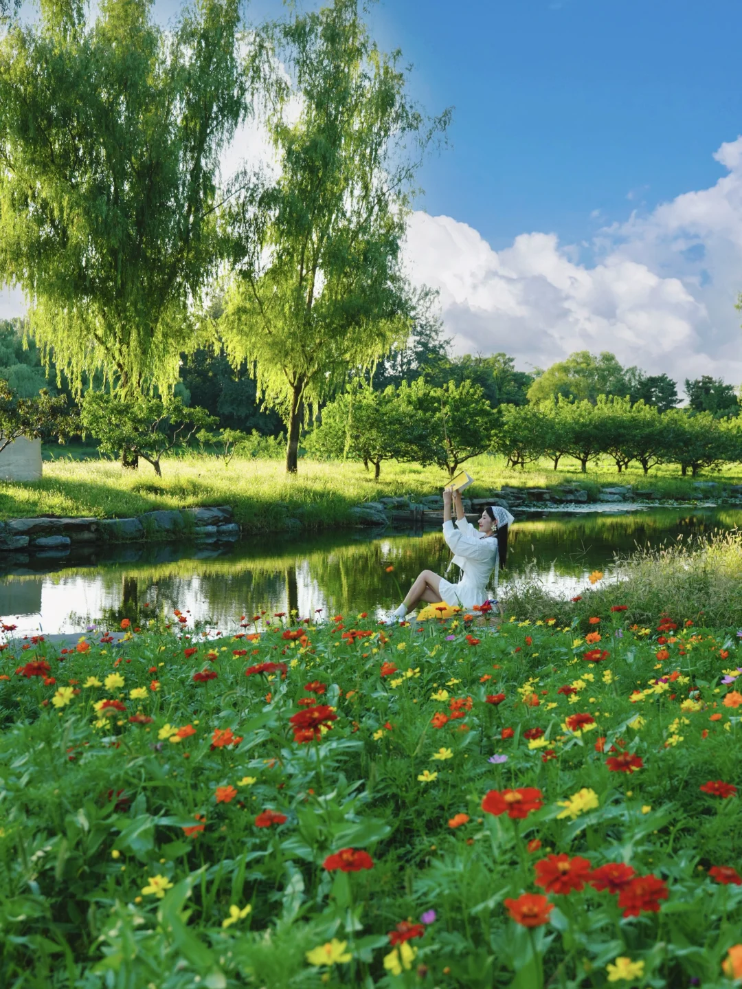 9.8live实拍❗️在圆明园发现一处世外桃源🌼