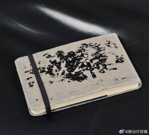 贺磊的小作文 517期：《2026年度小作文（一）—— 蔚小理篇》<b...