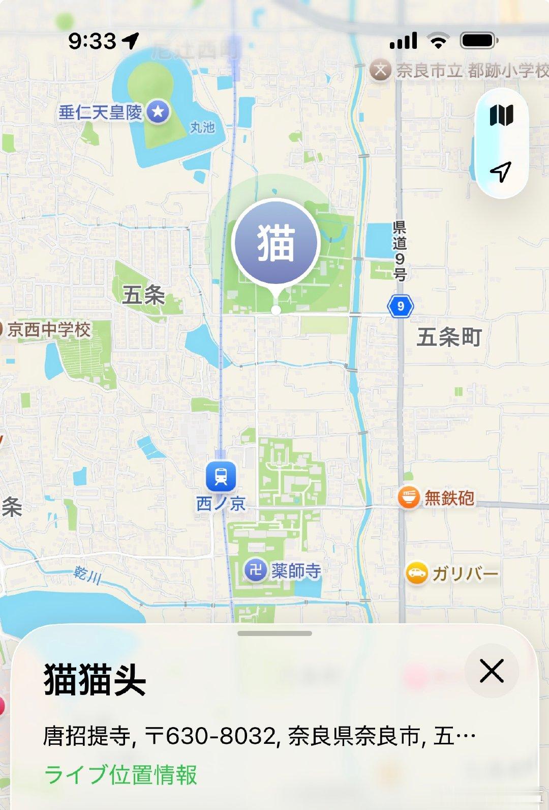 早上醒来，小姐已经在唐招提寺。
这是我们俩特别喜欢的地方。老头遗憾地说，可惜她看不懂什么，学了点历史也只是概念，唐代是什么，没有具体认知，不会有情感上的体验。
这让我想起来猫猫说，数学和理科也很慰藉人心。我想，她肯定也很遗憾。 ​