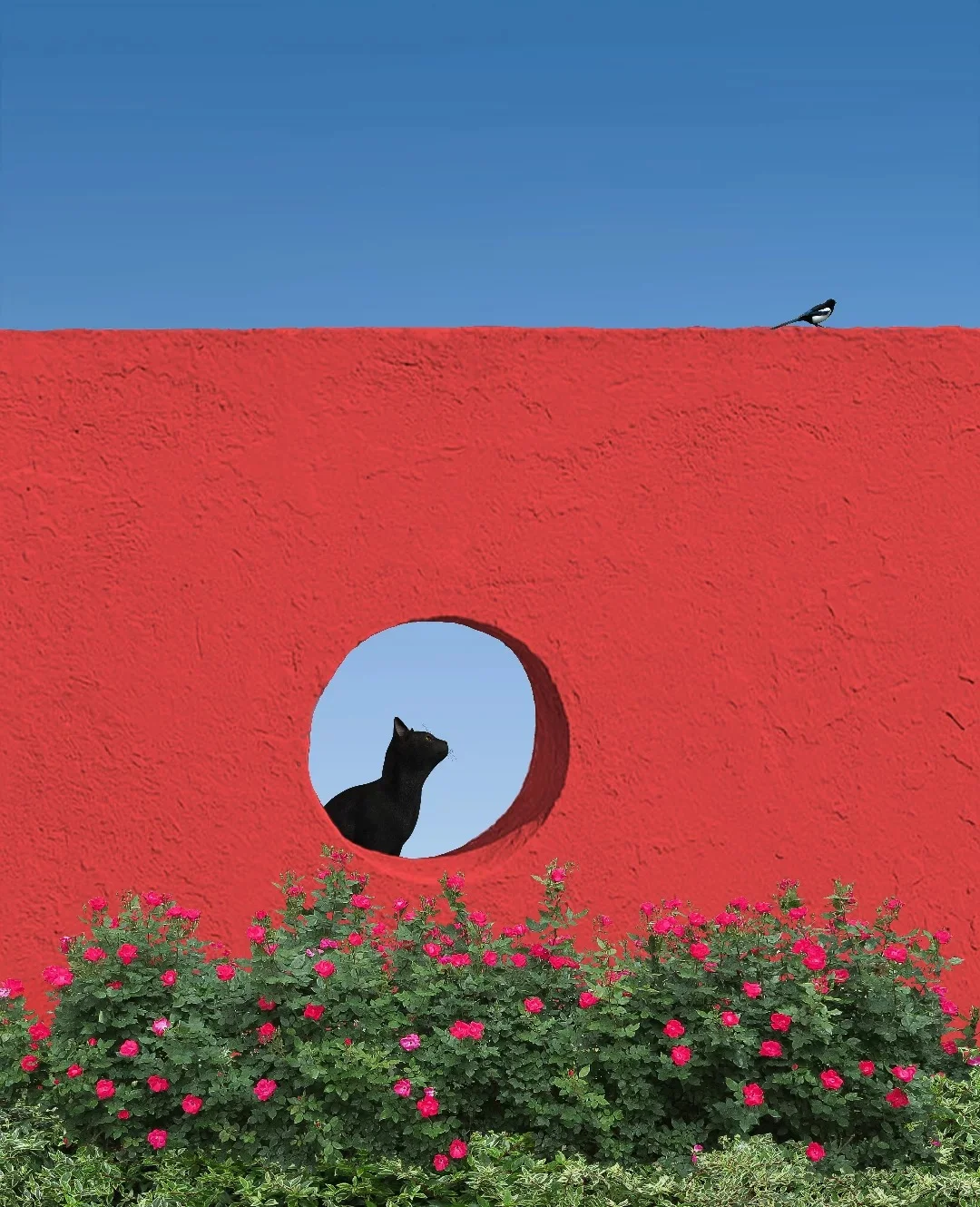 Benjamin Wolf-摄影作品解析