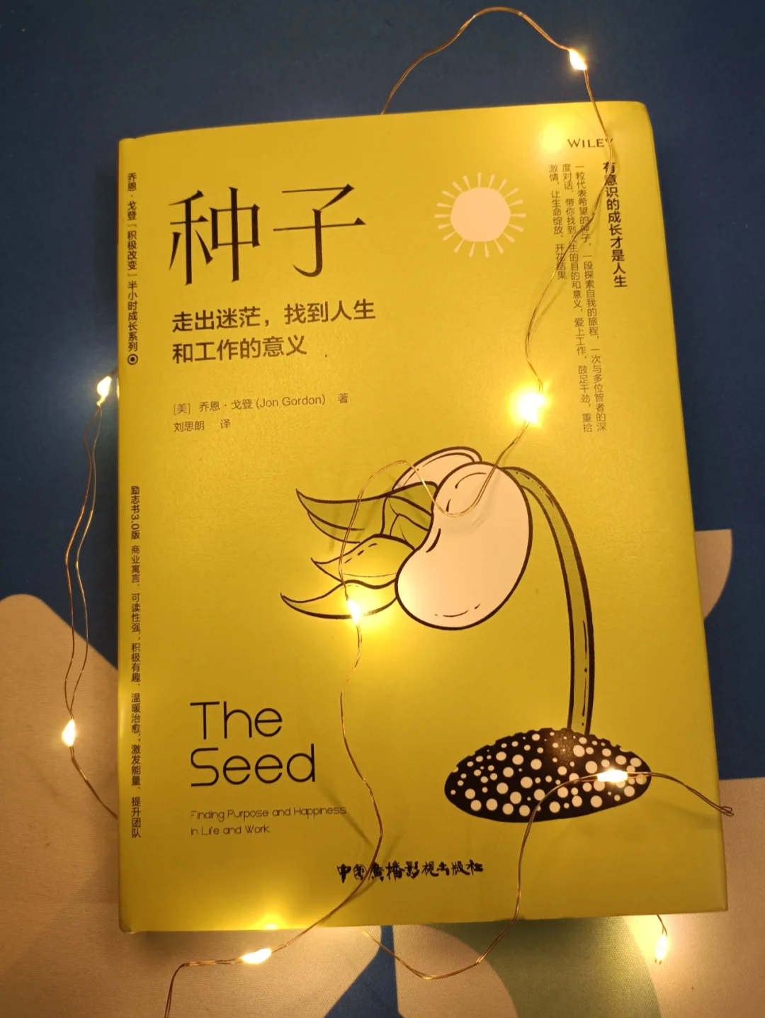 夜读分享｜愿你用余生走出迷茫