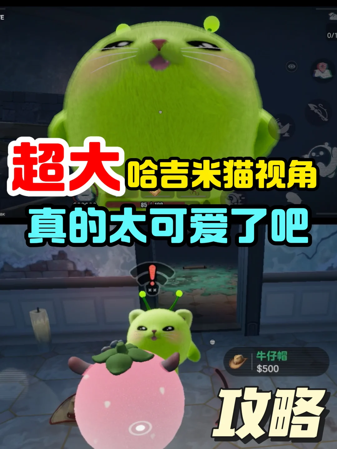 超大哈吉米视角❗️这也太可爱了吧❗️