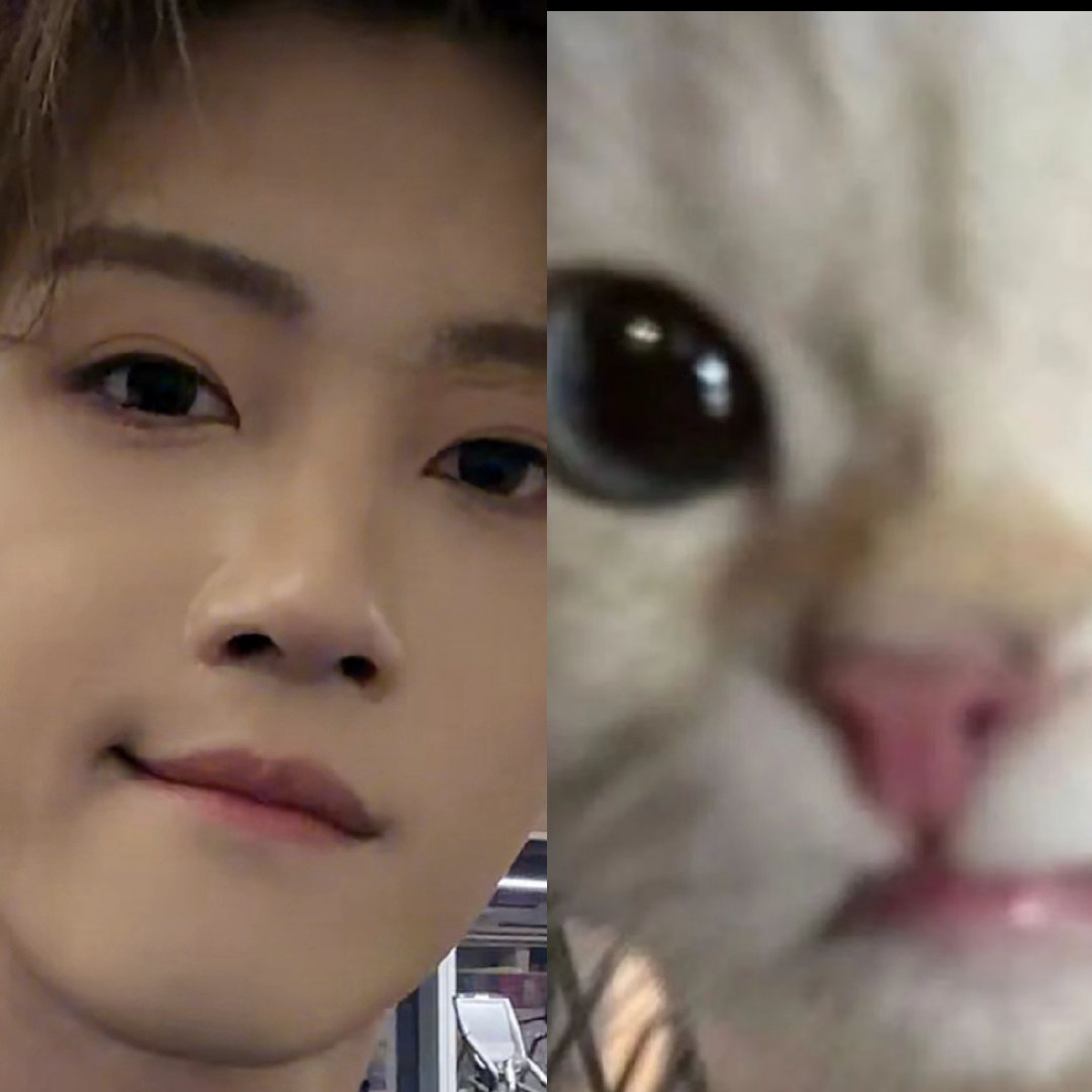 #闫桉[超话]#  桉咪or桉猪，值得拥有 ​