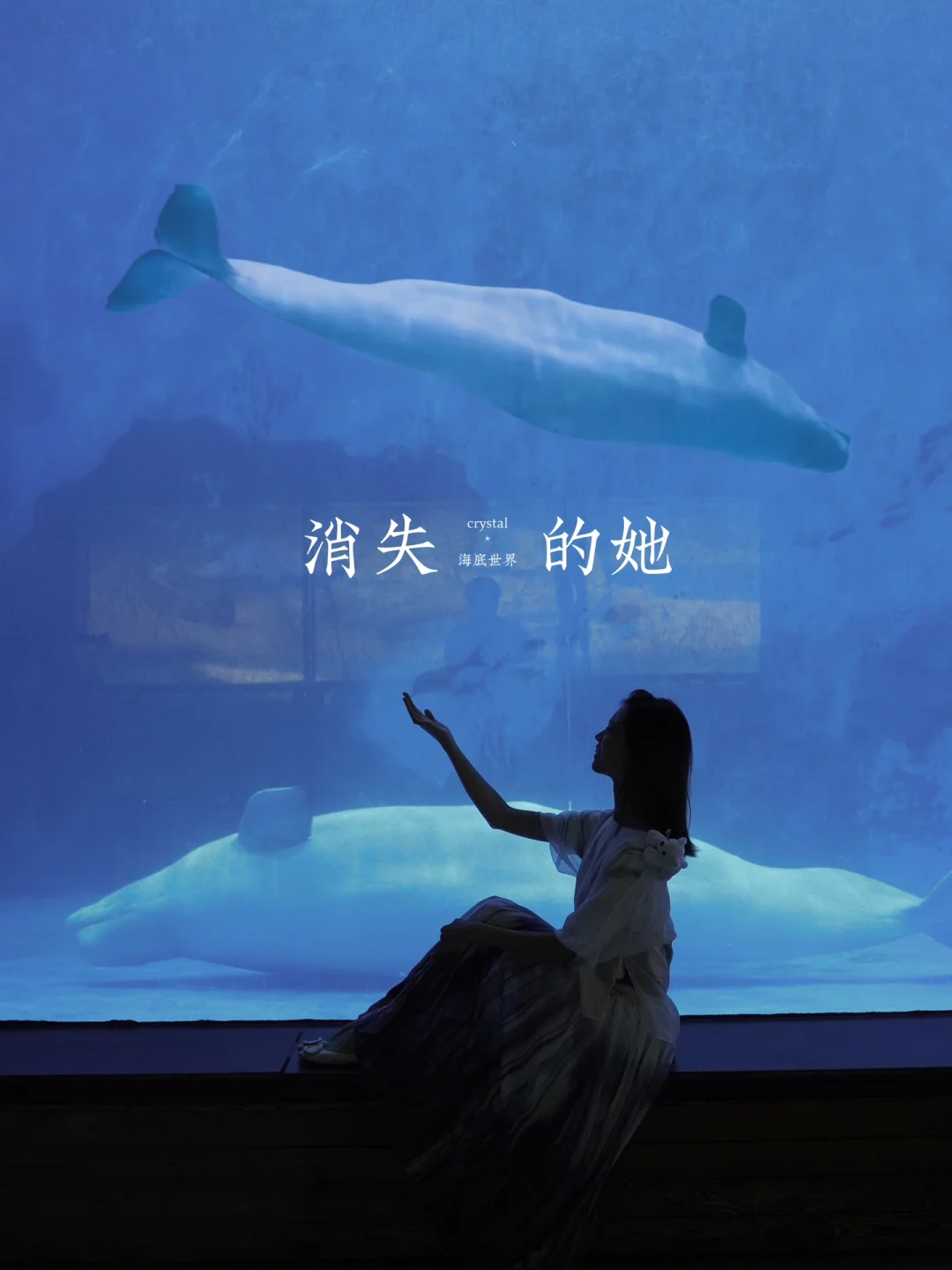 走吧，去看海底星空‼️海洋馆拍照攻略🐋