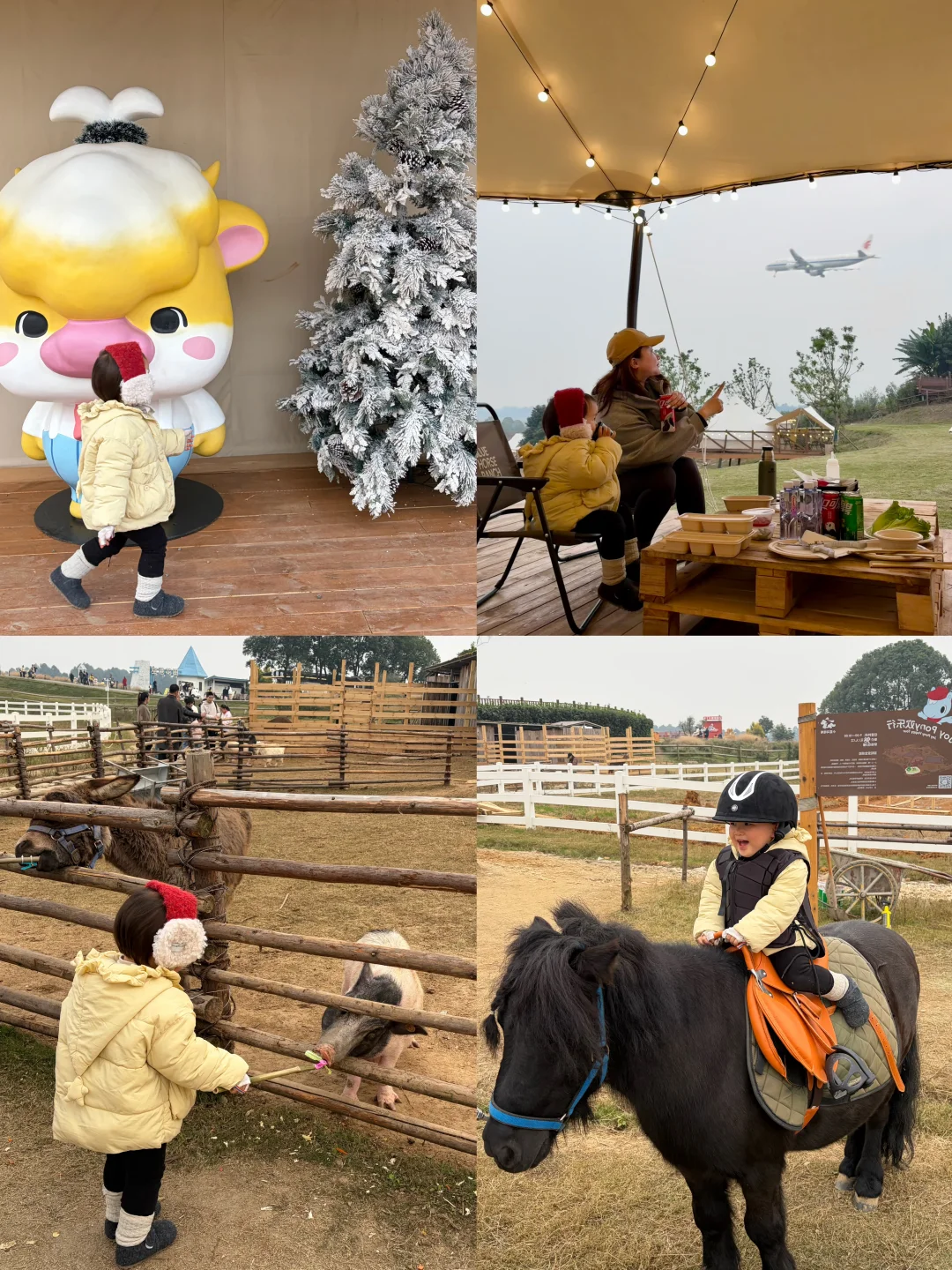成都！0.5h遛娃冲萌宠牧场🐴骑马喂动物🪿🐖