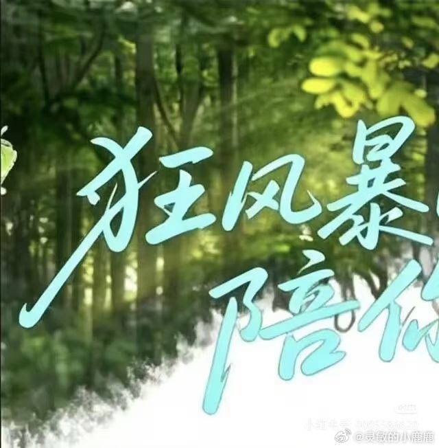 0825时代少年团成团七周年快乐
七年岁岁并肩，七颗初心滚烫
从懵懂青涩的练习室少年，到站上万人璀璨舞台的王者
时光更迭，不变的永远是七个少年双向奔赴的羁绊与热爱
是无需言说的默契，是彼此撑腰的偏爱
是跌跌撞撞一起成长，是岁岁年年从未走散
七年光阴为序，所有并肩的日夜，都藏着最纯粹的赤诚与 ​