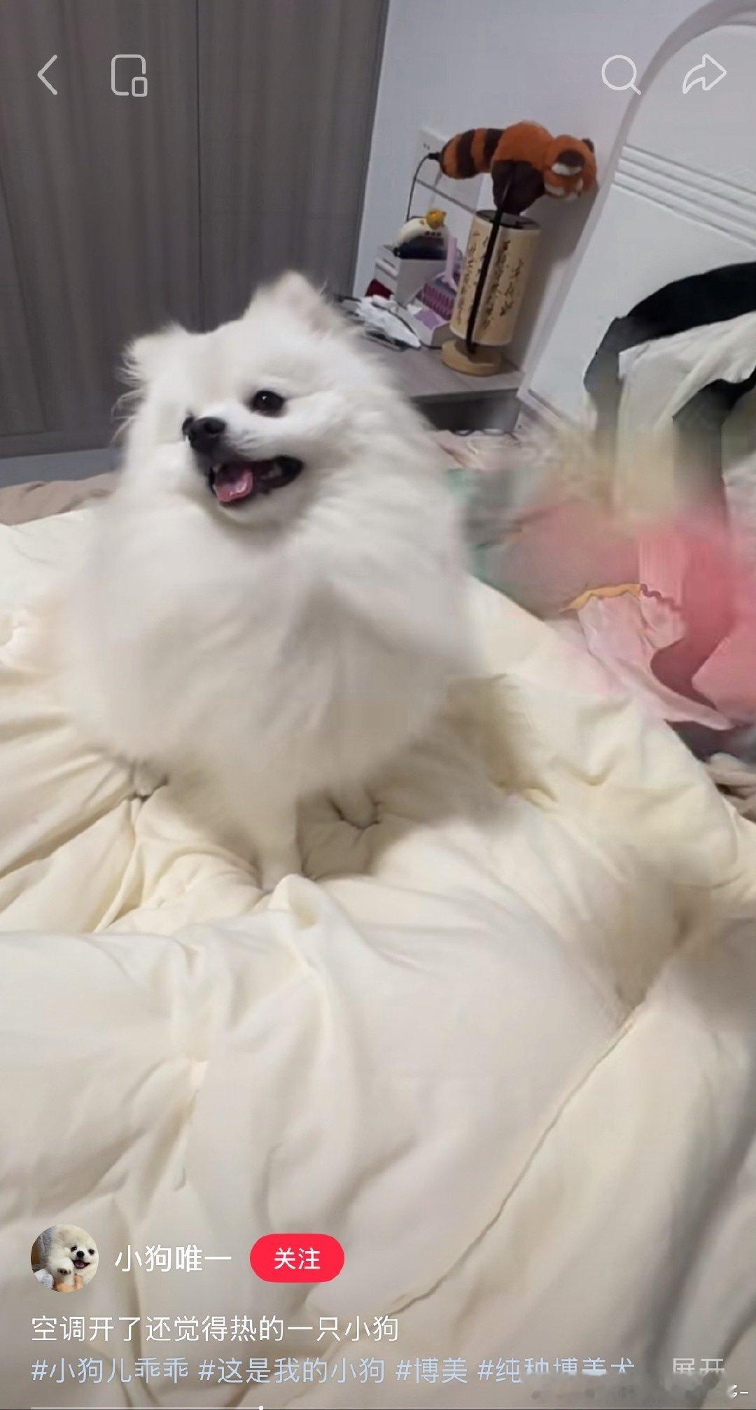 宝妈日记：要给李昊开16度空调📝 ​