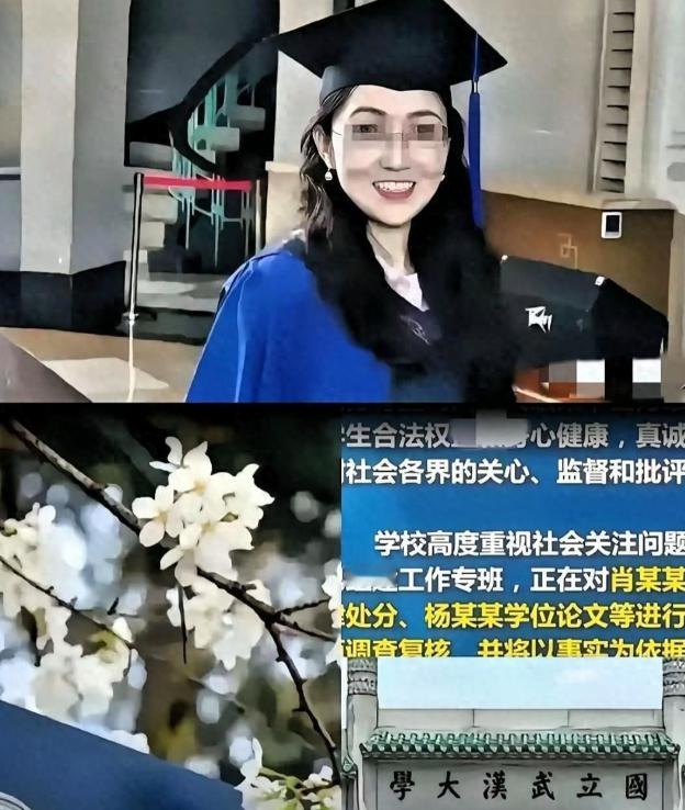 当年无端被贴上性骚扰标签、人生彻底被打乱的男学生，多年来深陷精神折磨、生活尽毁，而当初凭空捏造事实、网暴同龄人的女生杨某媛，却顺利毕业，远赴西班牙名校求学深造。

知晓真相的网友自发行动，跨国向其就读院校举报，彻底撕开了这件事最让人难以接受的落差。

整件事的反转，要从2025年的终审判决说起。