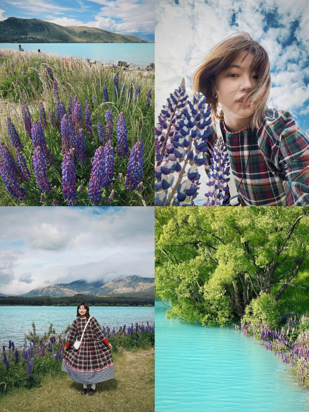 今日份Lake Tekapo🪻