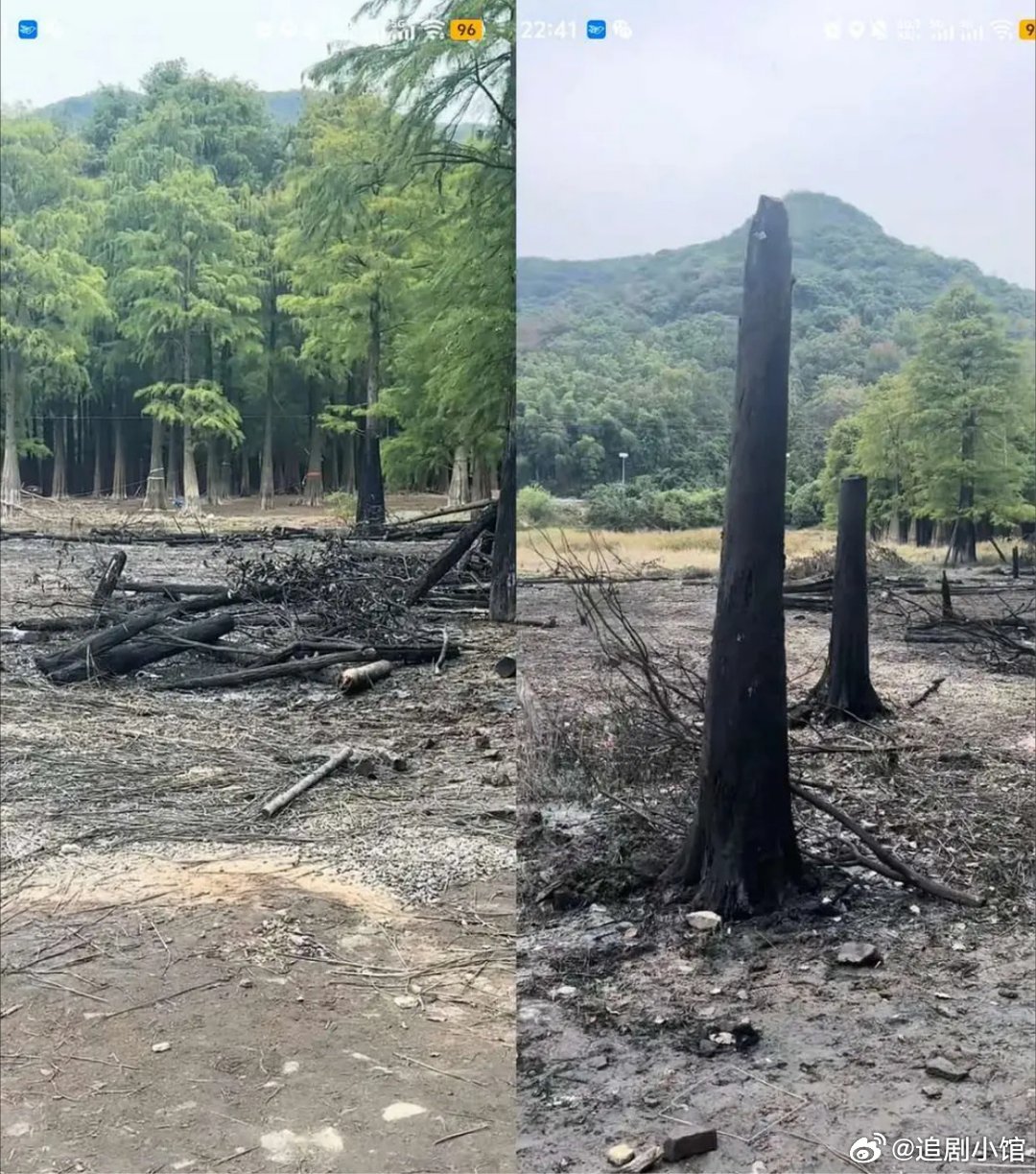 有当地网友称郭敬明的剧组#百妖谱# 来浙江绍兴上虞石井水库拍了几天，就为了个破剧毁了几十上百年才能长成的树。本来当地村民还高高兴兴的在发偶遇明星路透，结果他们走了一看变成这样，都气死了现在都在举报了。
更新当地工作人员回应：没有毁林，正在恢复。文旅局未回复。 ​