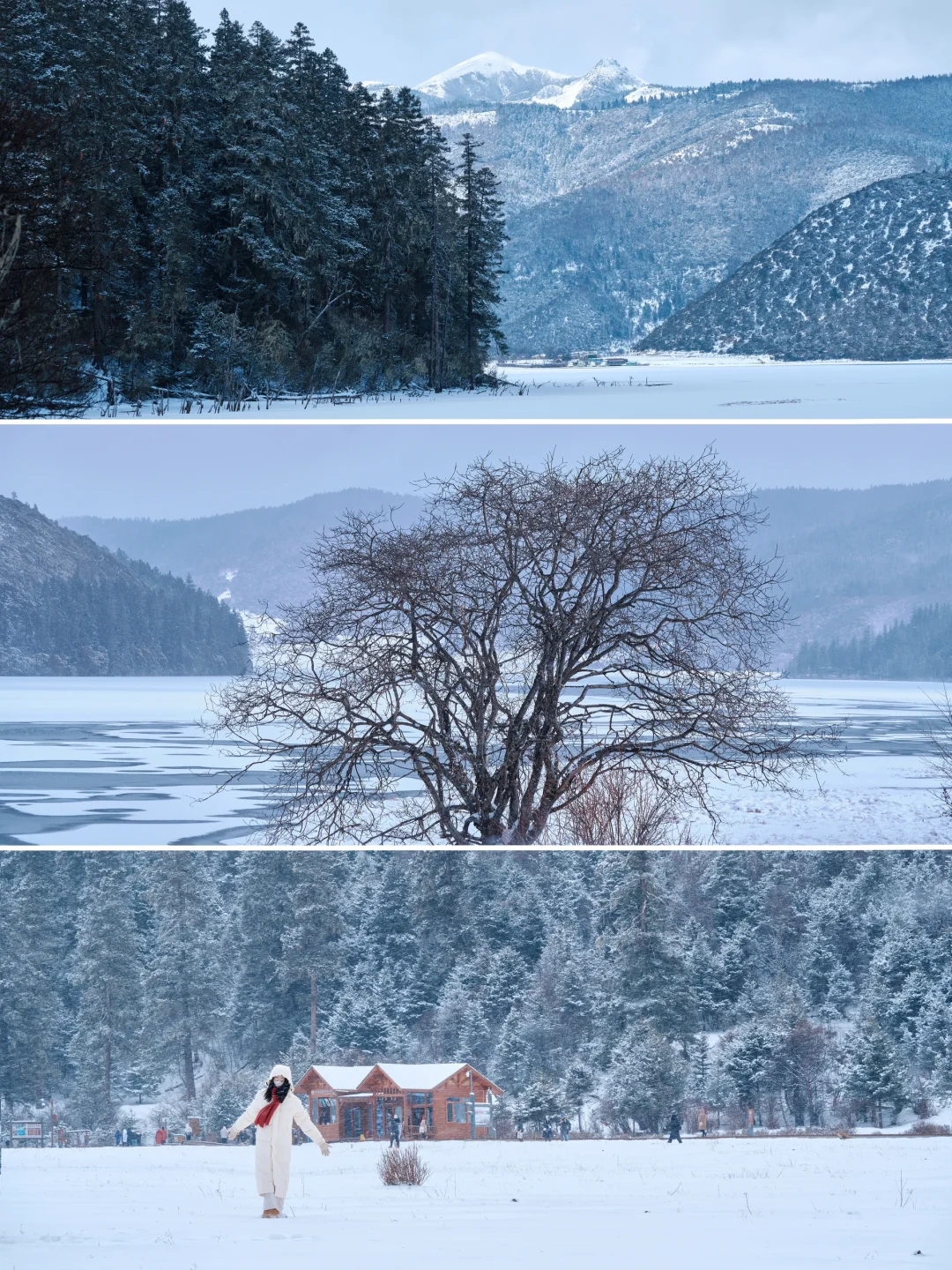 冬季的普达措❄️完美诠释了什么是人间仙境‼️