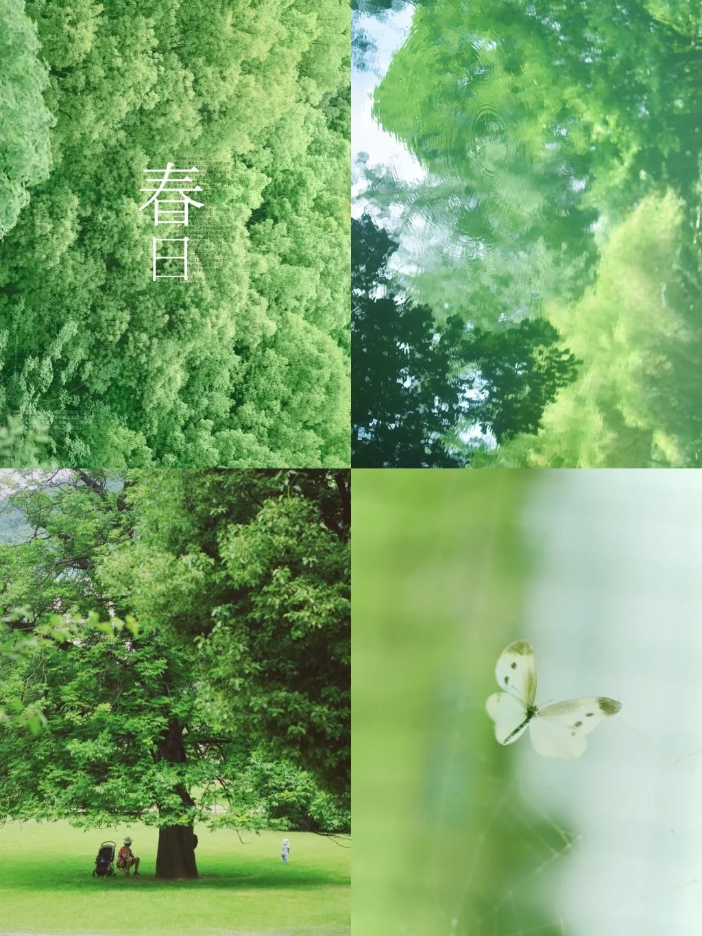 坦白局/坚持摄影4年，我都收获了什么？