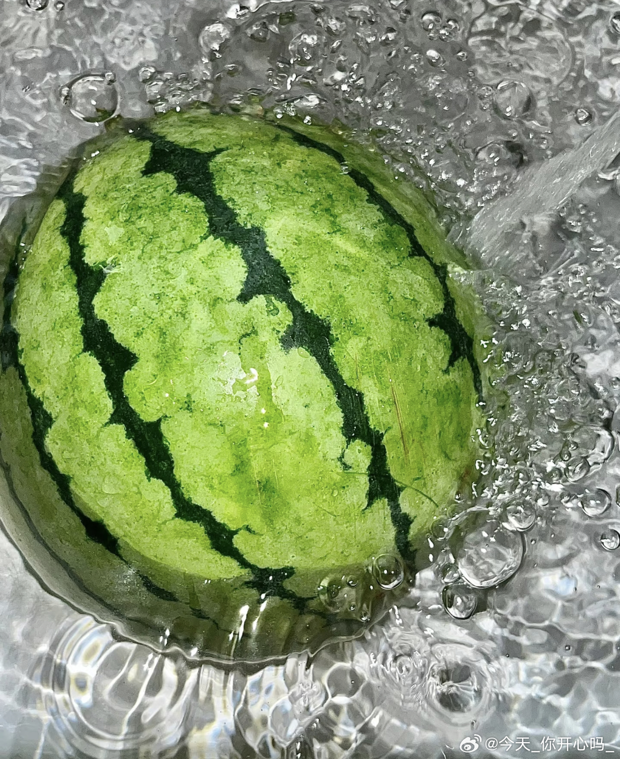[超话]超大西瓜 ​​​