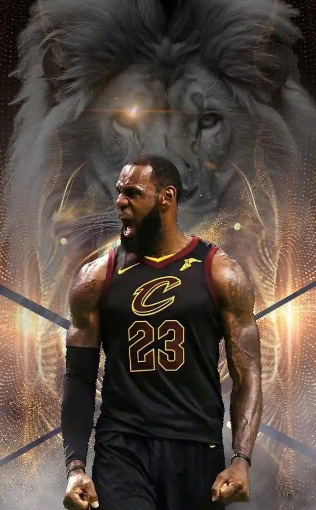 NBA  还是觉得詹姆斯去骑士最好！ 关于詹姆斯离开湖人的去向，NBA...