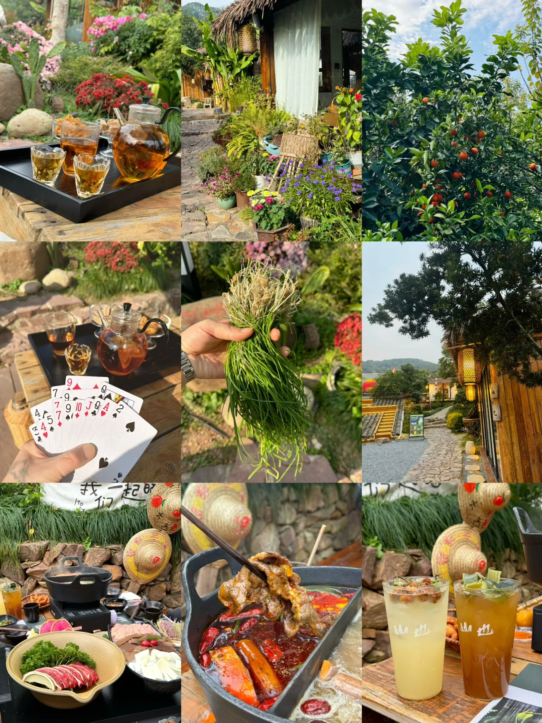 晒太阳发呆喝茶采野葱花园里吃火锅过周末