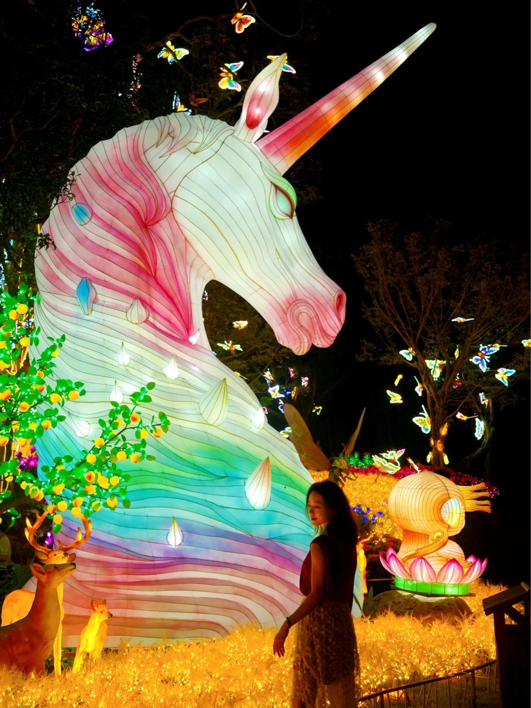 南宁人的夏夜童话封神！暑期必冲