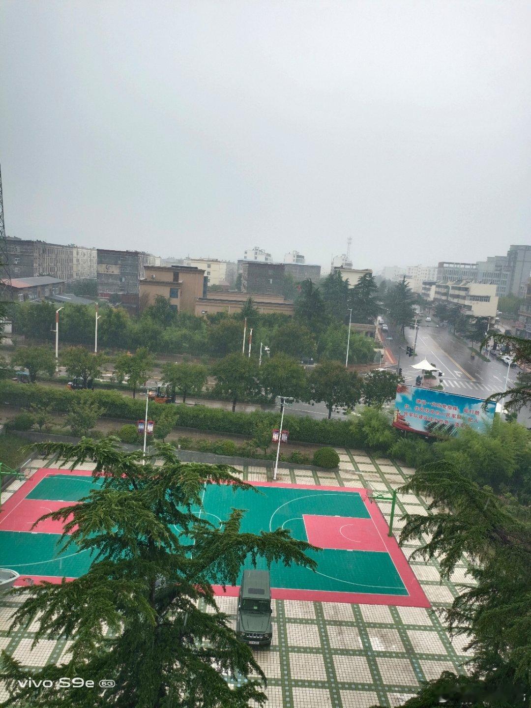 #vivo[超话]##vivo超话# 下雨了，雨水冲掉了树上的灰尘，让这些树更翠绿了，环境更好了。 ​