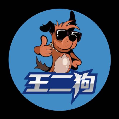游戏男神王二狗