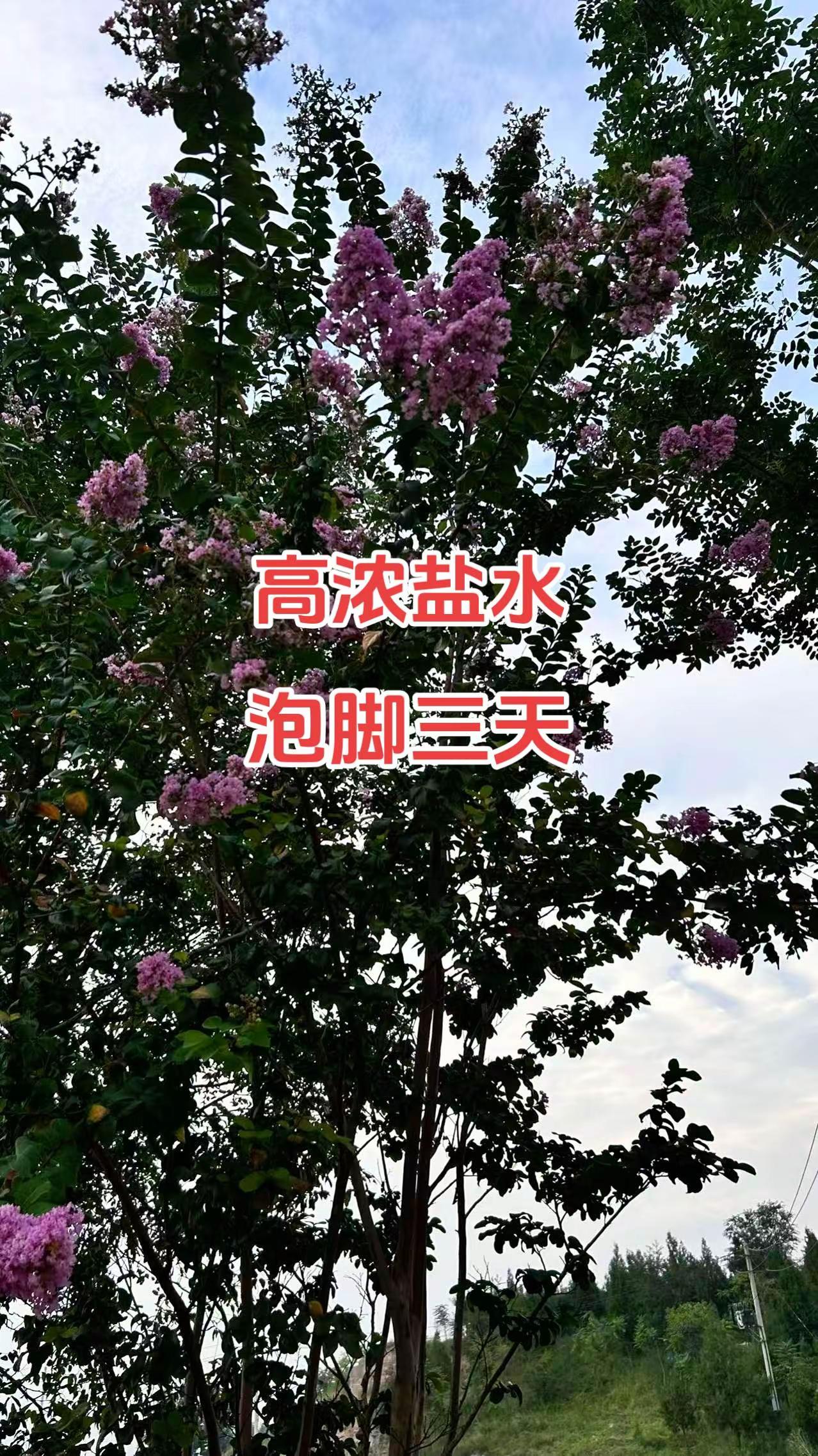 马刺还是太年轻了，关键失误&amp;绝杀不中，马刺主场再负尼克斯