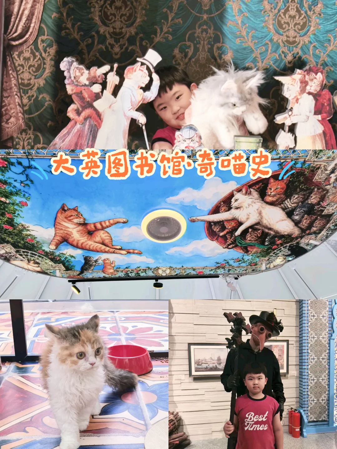🐱上海新展|大英图书馆奇喵史来铲“史”