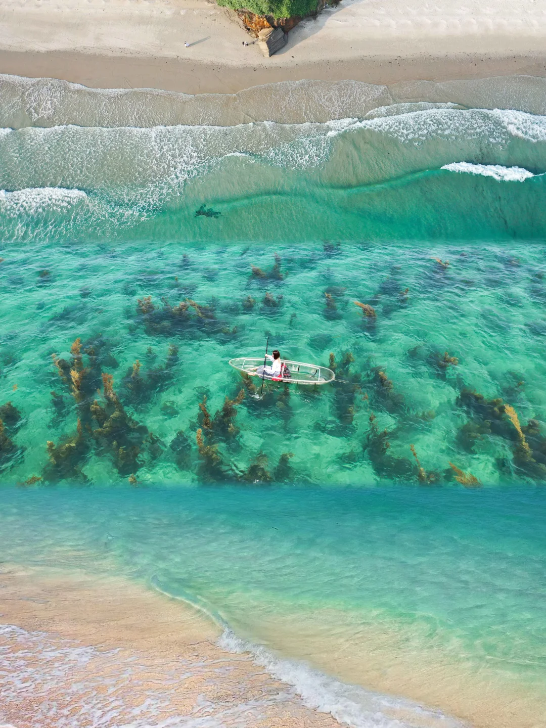 别瞎玩！涠洲岛五一荧光攻略收好